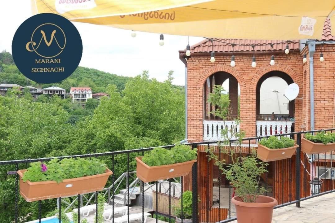 Guest House Marani Signagi Exterior foto